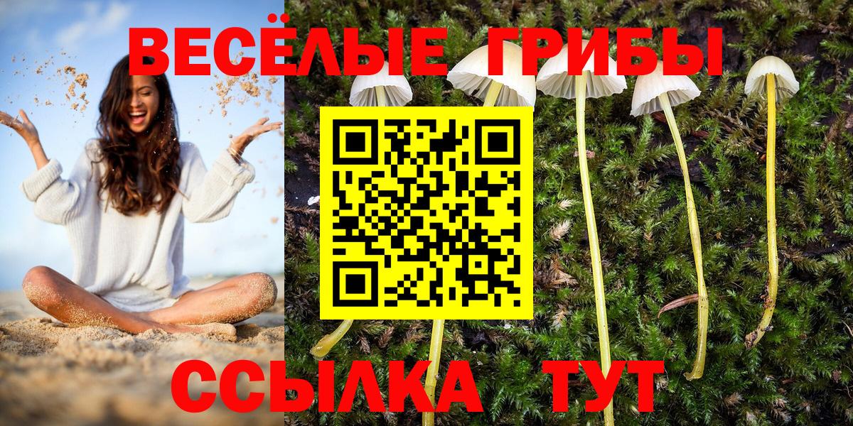 Псилоцибиновые грибы Psilocybine cubensis  Галлюциногенные грибы мицелий  Вход с VPN  Изобильный 