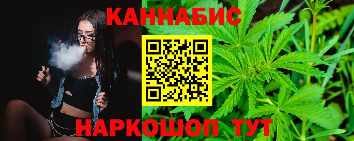 Бошки Шишки планчик Изобильный
